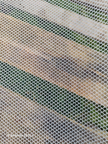 Plastic fence mesh - plastic, garden