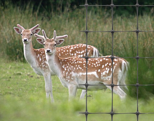 Deer fencing mesh livestock - deer,
