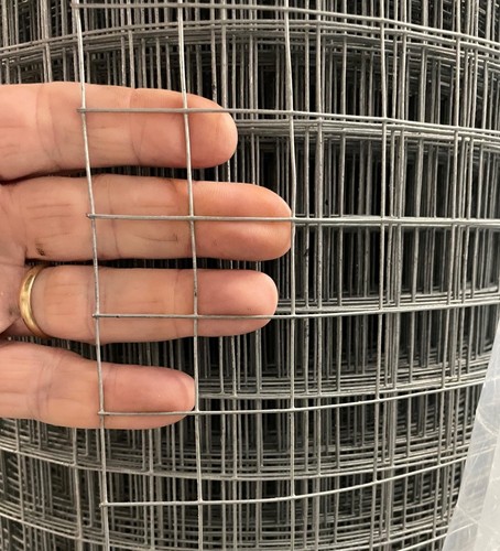 Welded chicken wire - welded,