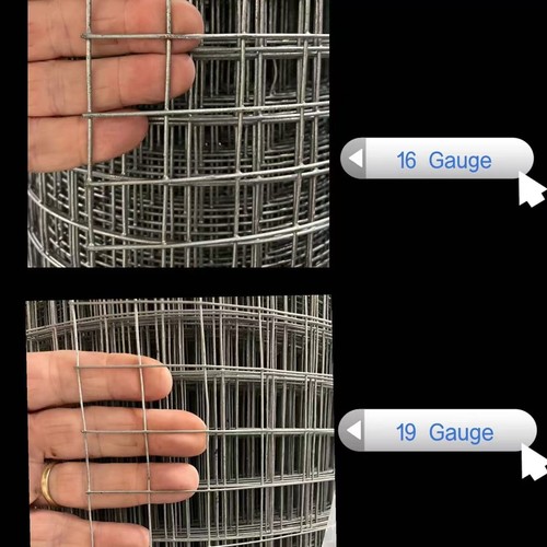 Welded chicken wire - welded,