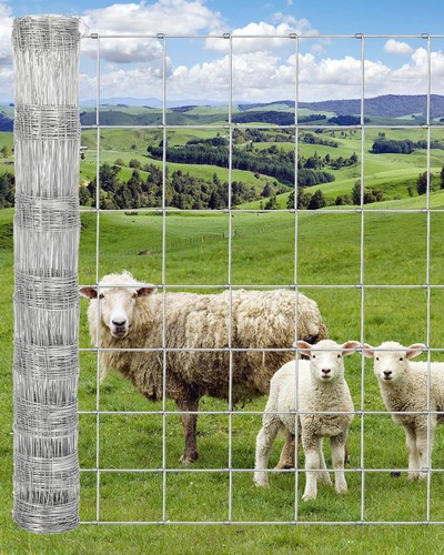 Galvanized wire mesh fence - wire,