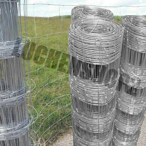 Chicken wire mesh - chicken,