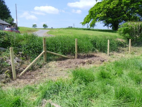 100 stock fencing - stock, sheep