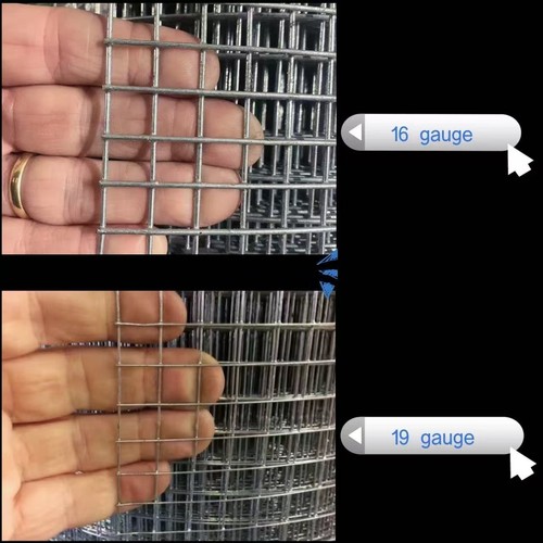 Welded chicken wire - welded, rolls