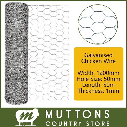 Galvanised chicken wire mesh - galvanised,